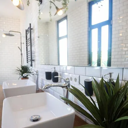 Amazing Family Flat In Center Oporto